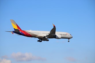 A passenger plane of the South Korean airline Asiana Airlines lands at Frankfurt Airport