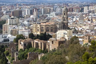 Cityscape view over city centre high density buildings, Malaga, Andalusia, Spain, cathedral church