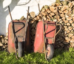 Two old red metal wheelbarrows leaning against pile wood logs in garden, Cherhill, Wiltshire,