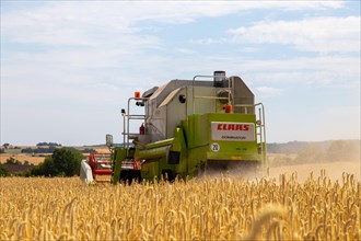 Grain harvest in the district of Bad Duerkheim (Rhineland-Palatinate)