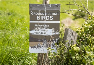 Ground-nesting birds sign about keeping to paths and controlling dogs, Shingle Street, Hollesley,
