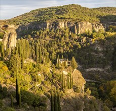 Wooded rocky gorge valley sides with cypress trees, river gorge, Rio Huecar, Cuenca, Castille La