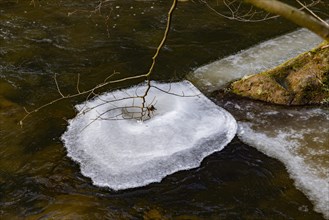 Severe frost has formed bizarre ice formations in the riverbed of the Gottleuba, Bergieshuebel,