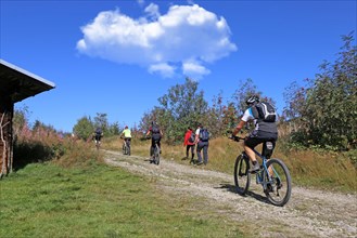 Mountain bike tour through the Bavarian Forest with the DAV Summit Club: Mountain bikers on the