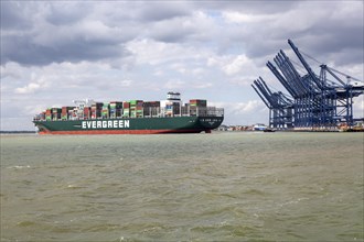 Evergreen Ever Govern one of the world's largest container ships making maiden call at Port of