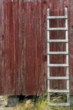 Wooden ladder leaning against the red wooden wall of a fisherman's hut, Hvide Sande, Midtjylland