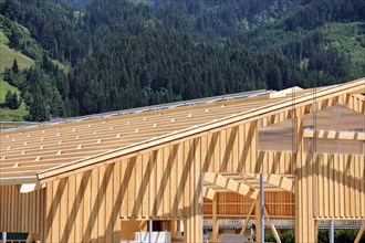 Timber construction, timber construction. Construction of a new hall (Aurach near Kitzbuehel,