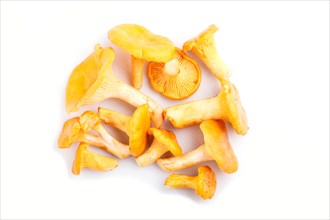 Bunch of chanterelle mushrooms isolated on white background. top view, close up