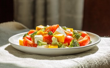 Vegetarian salad with broccoli, tomatoes, feta cheese, and pumpkin on white ceramic plate on linen
