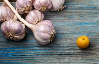 Fresh violet garlic and yellow fruit on a blue rustic wooden background. Concept of contrast