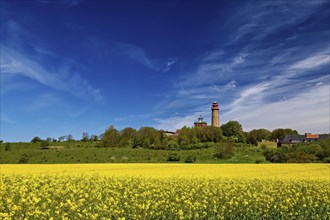 Rapeseed fields at the lighthouse of Cape Arkona on Ruegen