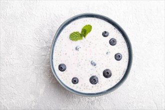 Yogurt with blueberry in ceramic bowl on gray concrete background. top view, flat lay, close up