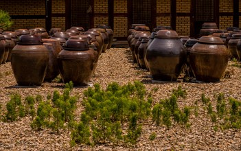 Rows of brown ceramic pickling jars sitting in gravel lot in front of brick and wood building in