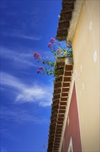 Flower-covered roof, lovely, idyllic, flowers, decoration, architecture, facade, earth colours,