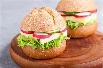 Sandwiches with cheese, radish, lettuce and cucumber on wooden board on a gray concrete background.