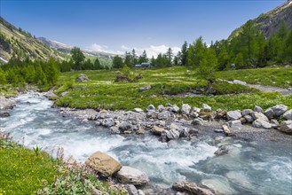Mountain stream, river, Alps, mountains, mountain stream, fresh, clean, climate, environment,