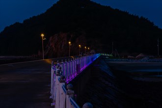 Night view of white metal fence on concrete pier lit with blue, purple and green LED lights in