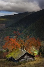 Alpine hut in the autumnal Rhone valley, mountain hut, living, lonely, mountains, colourful autumn