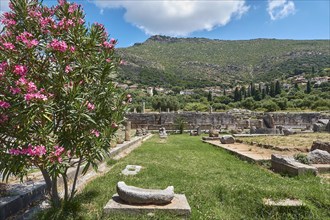 View of ancient ruins with blooming oleander and a mountainous landscape in the background,