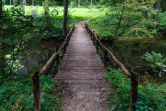 Wooden bridge over the river in the city park of Druskininkai. Lithuania