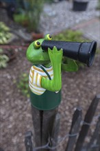 Colourful tin frog on a garden fence, Mecklenburg-Vorpommern, Germany, Europe
