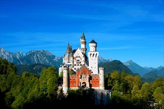 Castle Neuschwanstein, Bavaria, Germany, Europe
