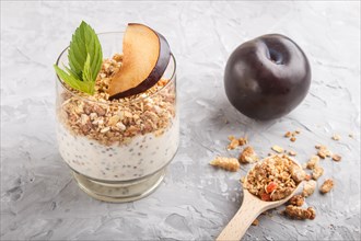 Yoghurt with plum, chia seeds and granola in a glass and wooden spoon on gray concrete background.