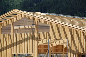 Timber construction, timber construction. Construction of a new hall (Aurach near Kitzbuehel,