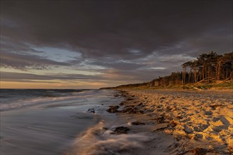 Sunset on the west beach near Prerow with illuminated trees as a long exposure