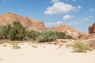 Oasis in desert, red mountains, rocks and blue sky. Egypt, the Sinai Peninsula, Dahab