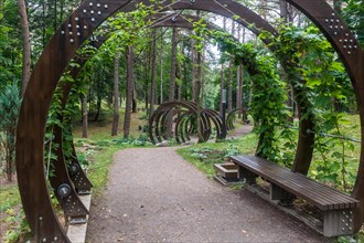 A forest park with large trees and creative benches and arches. Druskinikai, Lithuania, Europe