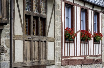Half-timbered house, half-timbered house facade, historic old town, Dinan, Cotes d'Armor, Brittany,