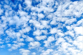 Mackerel Clouds (Altocumulus)