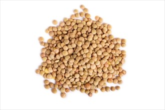 Pile of green lentils isolated on white background. Top view