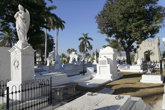 Graves, gravesites, Cementerio de Cristobal Colon, Christopher Columbus Cemetery, 56 ha cemetery,