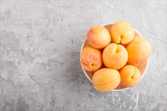 Fresh orange apricots in white bowl on gray concrete background. top view, flat lay, copy space