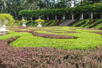 Part of a regular garden with cropped hedges and fountain