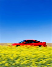 Red sports car on a small road through yellow oilseed fields (Brassica napus) Bavaria, Germany,
