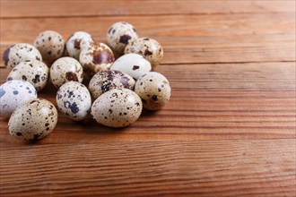 Raw quail eggs on a brown wooden background. with copy space