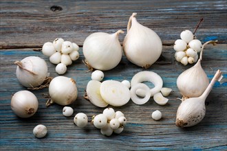 White onion and white berries on a blue rustic wooden background