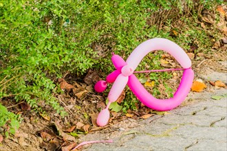 Pink balloon discarded on brick walkway next to row of bush hedges in South Korea
