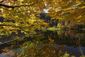 Lake with autumn forest, water reflection, Nonnenmattweiher, Neuenweg, Black Forest,