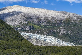 Tongue of the Pia Glacier between forests, Alberto de Agostini National Park, Avenue of the