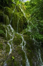 Water flowing in rivulets down a mossy mountain face, nature, natural spectacle, water, flowing,