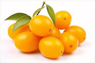 Kumquat fruits on white background. KI generiert, generiert AI generated