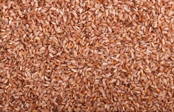 Texture of unpolished brown rice. Top view, flat lay, close up, macro. Natural background