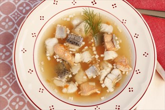 Swabian cuisine, Lake Constance fish pot, fish soup, healthy eating, broth, fillet of pike, char,