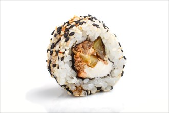 Japanese maki sushi rolls with salmon, sesame, cucumber isolated on white background. Side view,