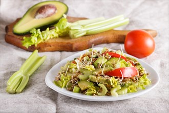 Vegetarian salad of celery, germinated rye, tomatoes and avocado on linen tablecloth, close up,