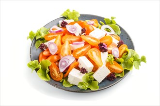 Vegetarian salad with fresh grape tomatoes, feta cheese, lettuce and onion on blue ceramic plate
